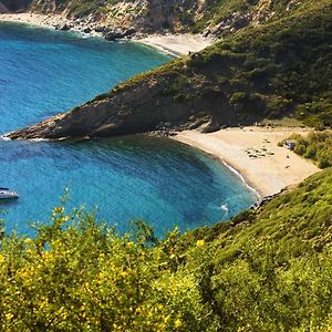 Tenuta Delle Ripalte